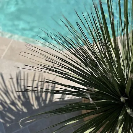 Le Petit Chabo Bed & Breakfast