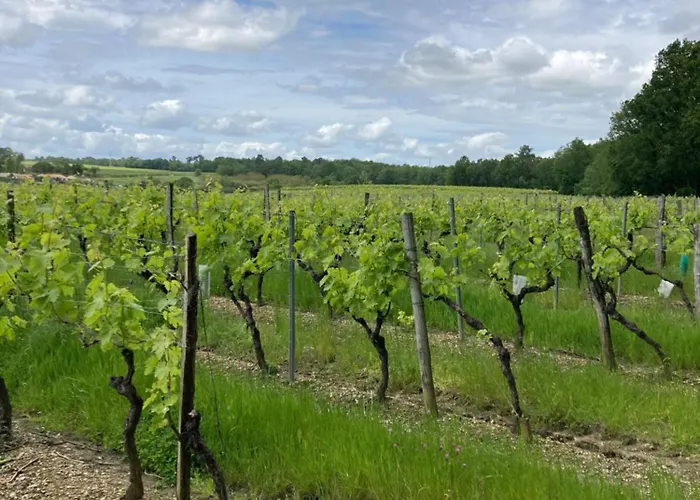 Le Petit Chabo 3* Saint-Maigrin